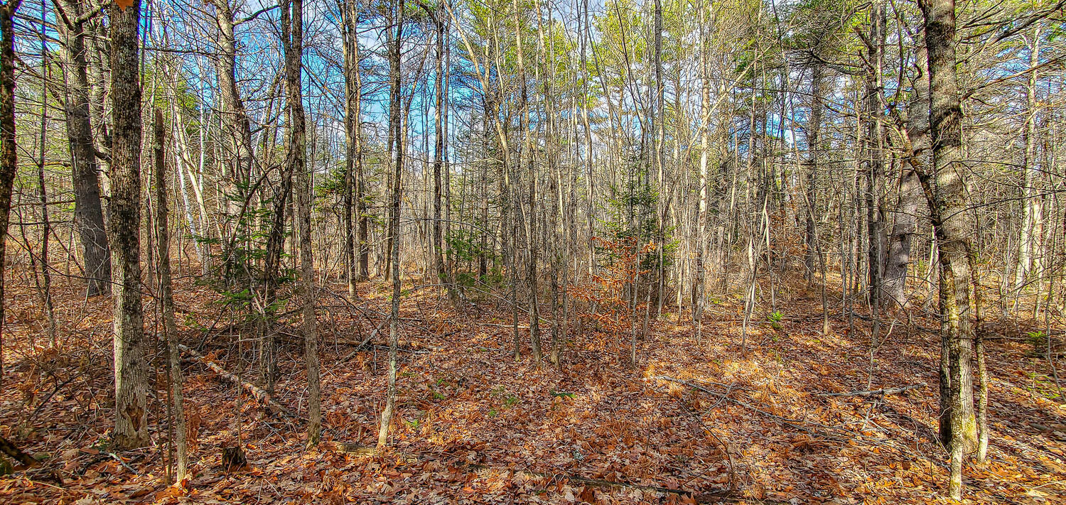 0 Lunts Hill Road Litchfield, ME 04350 - Photo 32 of 80 0 Lunts Hill Rd Litchfield-large-035-017