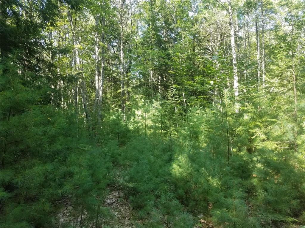 Lot 7 Bell Marsh Road York, ME 03909 - Photo 16 of 18 Photo