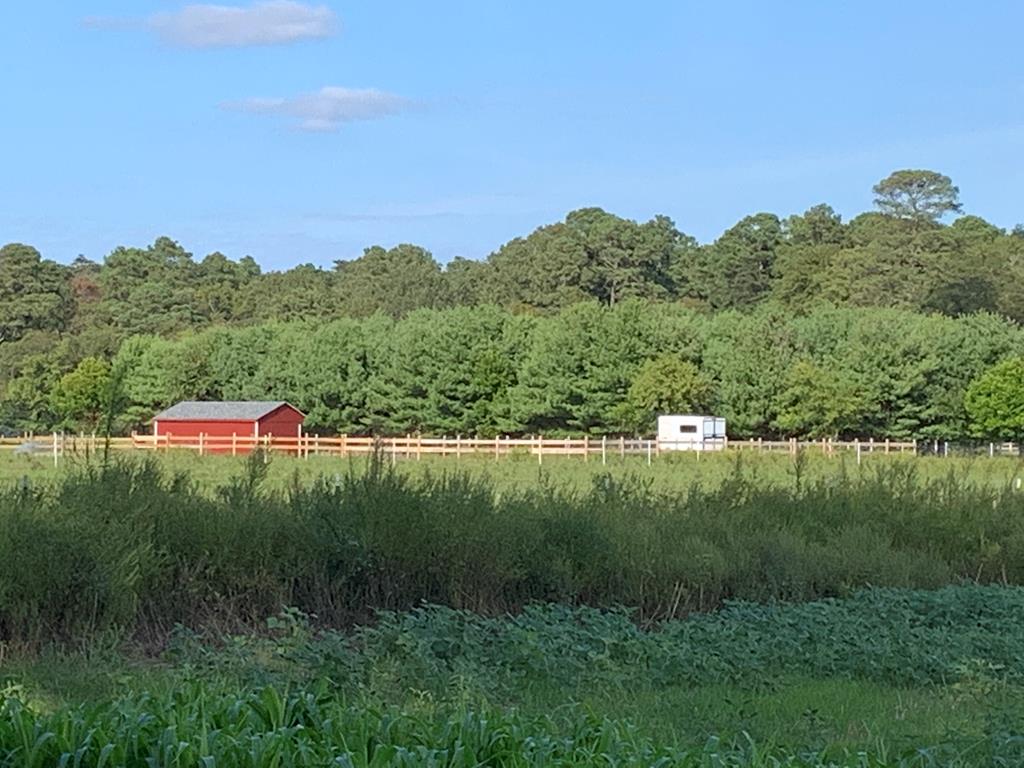 Lot G Lot G Saltworks Road, Unit G Exmore, VA 23350 - Photo 1 of 1