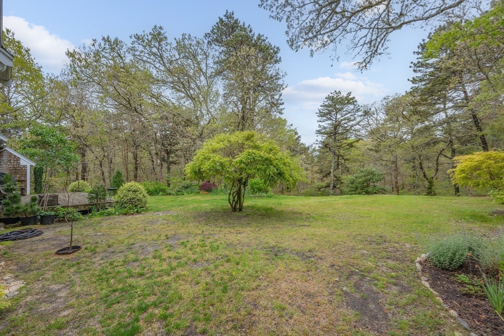 14 Spences Trace Road Harwich, MA 02645 - Photo 16 of 18 Gallery Image 16
