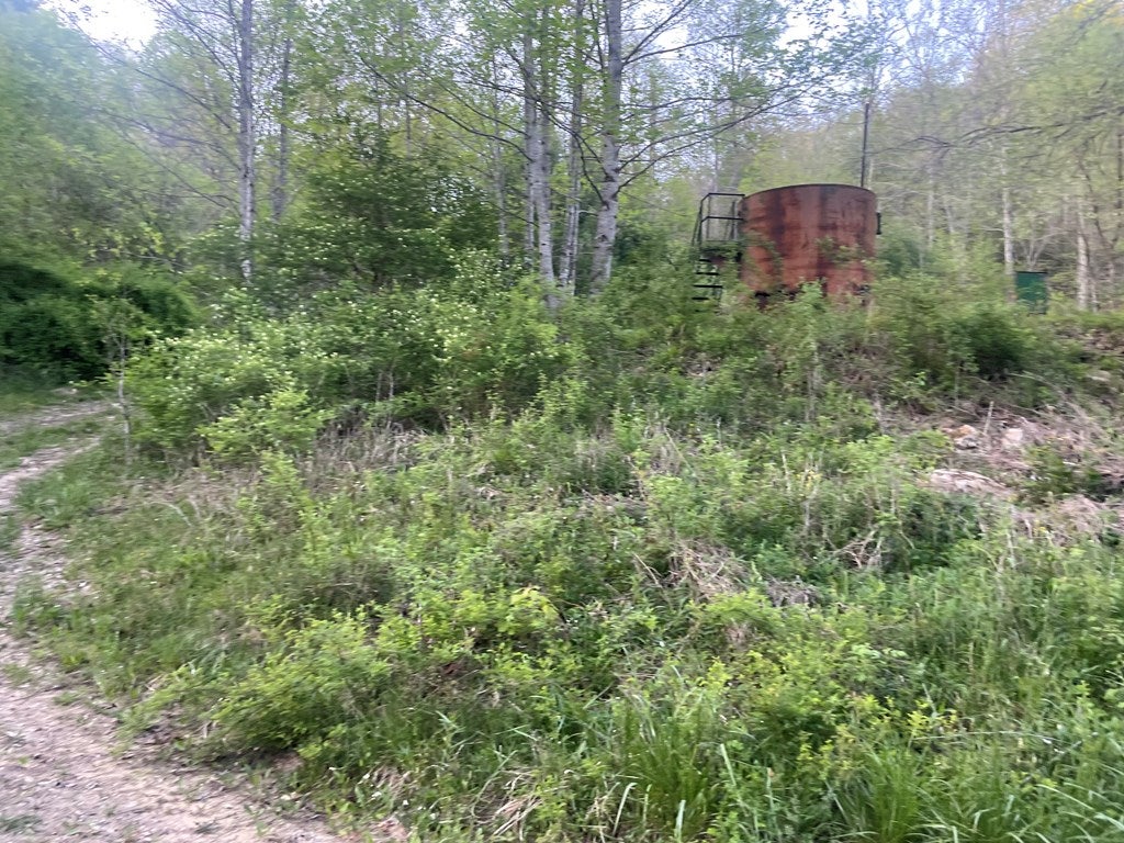 0 Bob Byrd Road Camp Creek, WV 25820 - Photo 11 of 12 Gallery Image 11