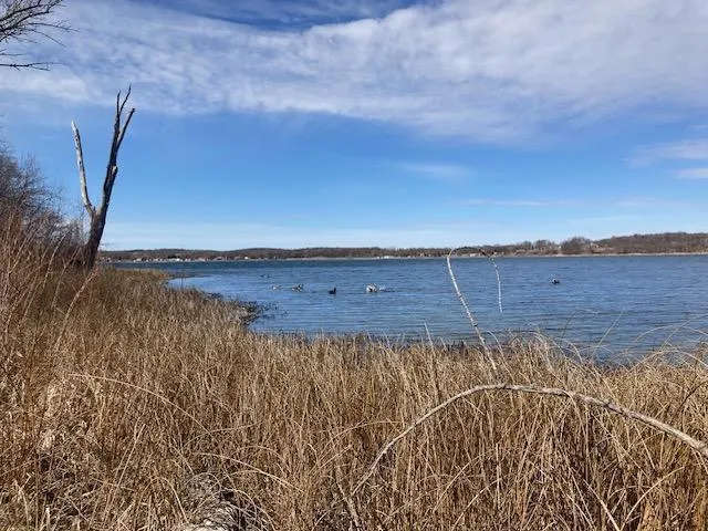 $499,000 | Xxx Xxx Loon Point Drive Southwest, Kensington, MN 56343