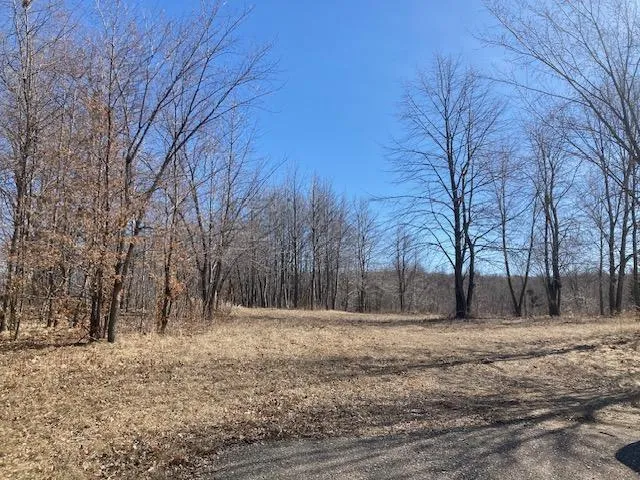 $499,000 | Xxx Xxx Loon Point Drive Southwest, Kensington, MN 56343