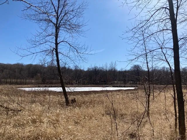 $499,000 | Xxx Xxx Loon Point Drive Southwest, Kensington, MN 56343