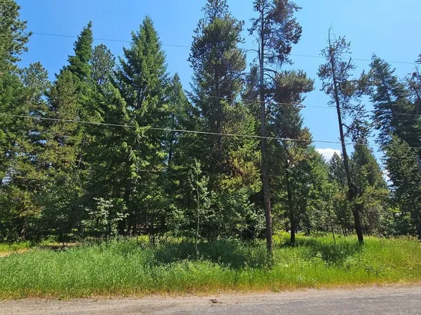 $215,000 | 693 North Samson Trail, Unit 10, McCall, ID 83638