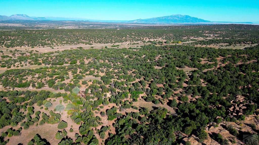 Tbd Bear Creek Road Walsenburg, CO 81089 - Photo 36 of 37