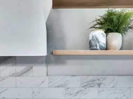 a view of potted plant in front of a window