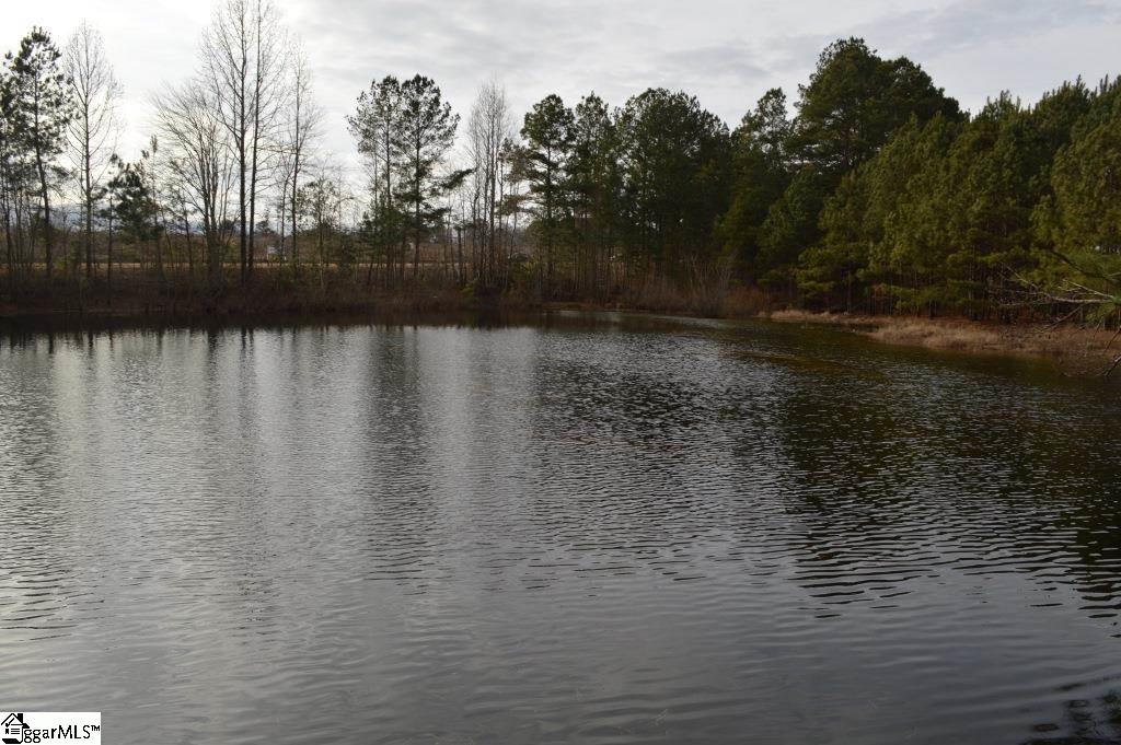 0 West Union Road West Union, SC 29696 - Photo 10 of 22 Gallery Image 10