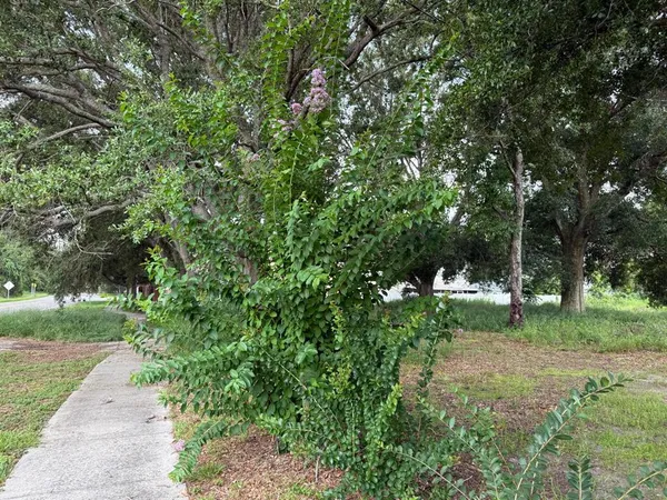 $429,000 | Undisclosed Address, Mascotte, FL 34753