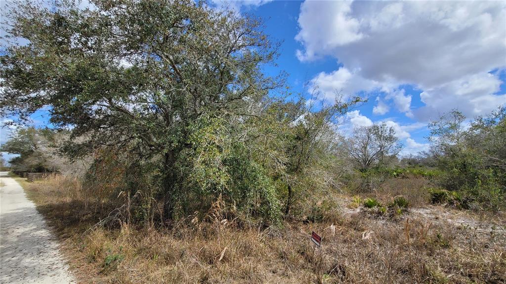 4752 Southeast Rye Avenue Arcadia, FL 34266 - Photo 11 of 13