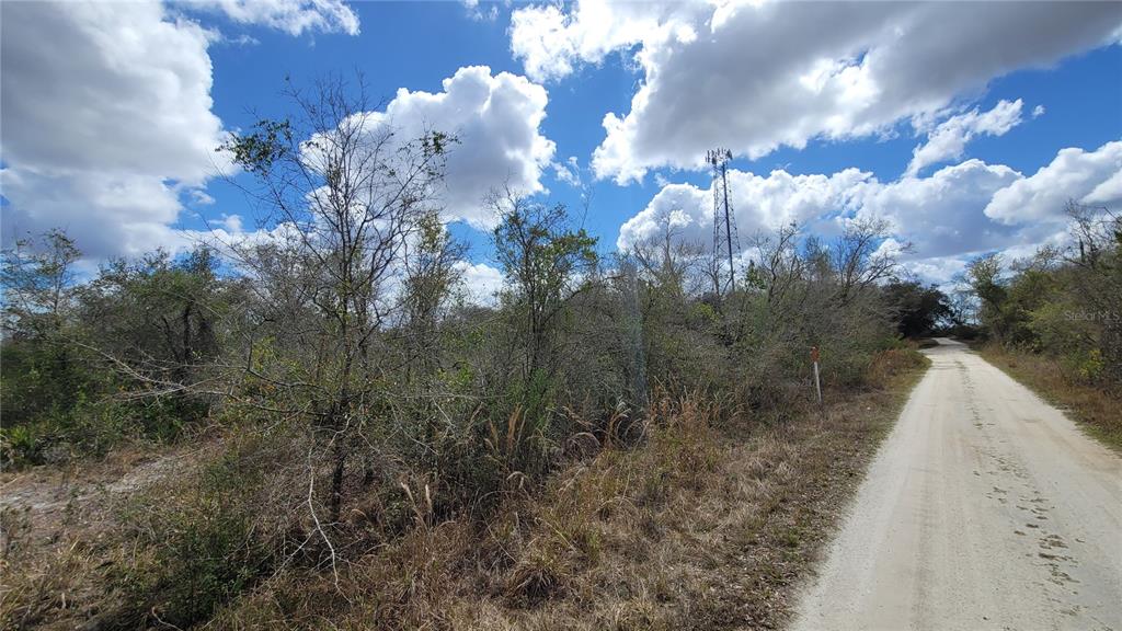 4752 Southeast Rye Avenue Arcadia, FL 34266 - Photo 13 of 13