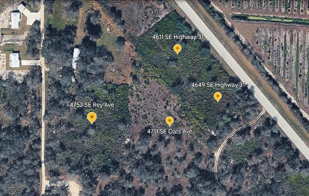 4752 Southeast Rye Avenue Arcadia, FL 34266 - Photo 4 of 13