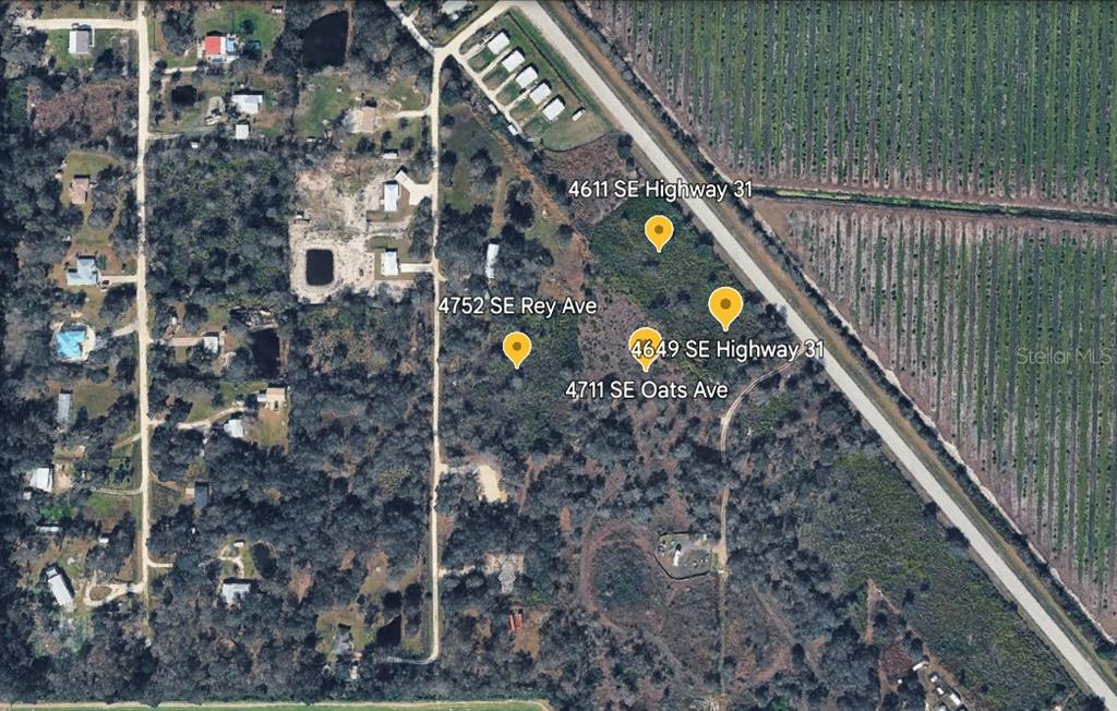 4752 Southeast Rye Avenue Arcadia, FL 34266 - Photo 5 of 13