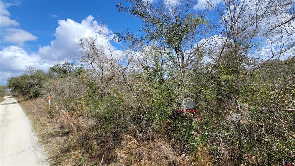 4752 Southeast Rye Avenue Arcadia, FL 34266 - Photo 9 of 13