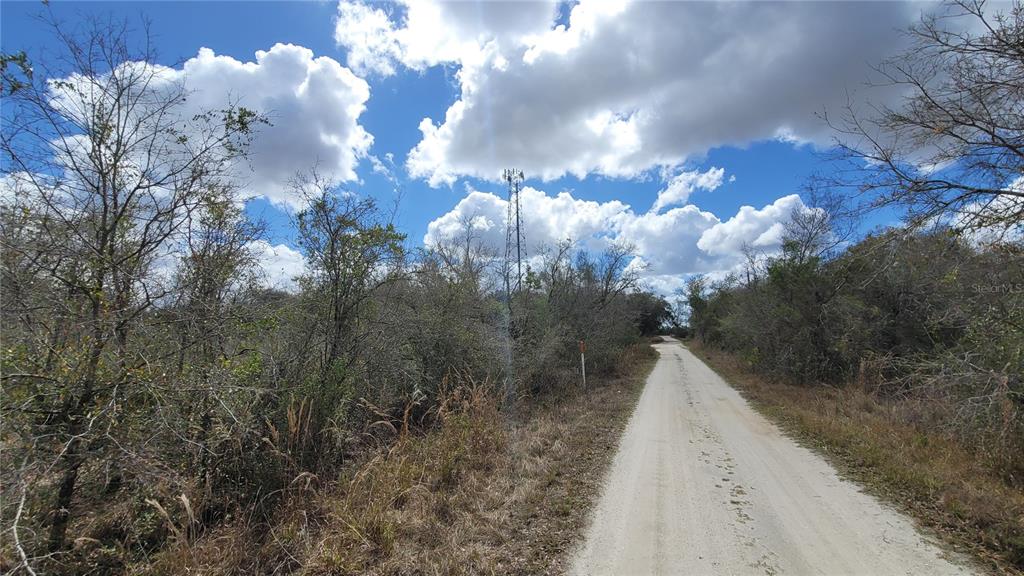 4752 Southeast Rye Avenue Arcadia, FL 34266 - Photo 10 of 13