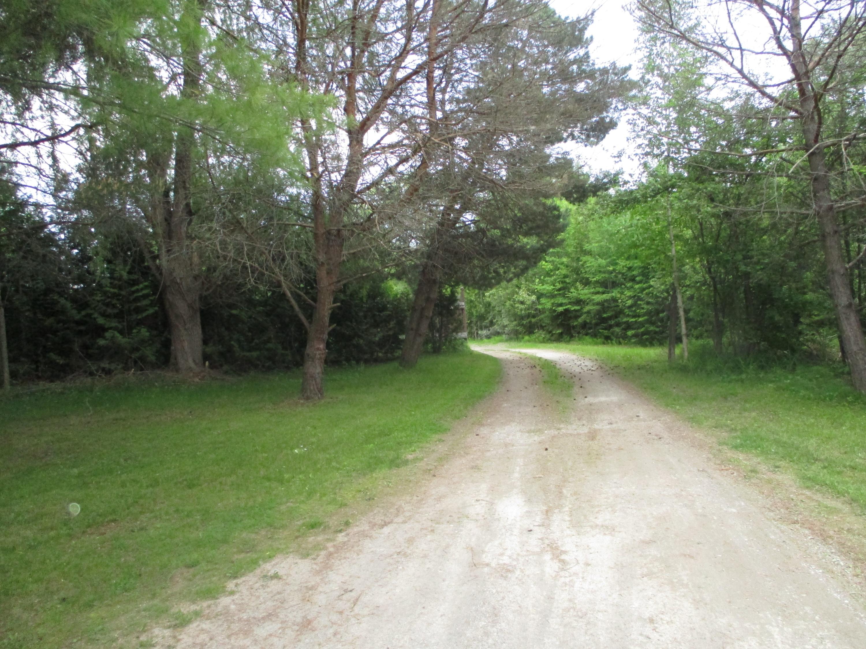 1090 Tamrack Road Alpena, MI 49707 - Photo 4 of 10 Gallery Image 4