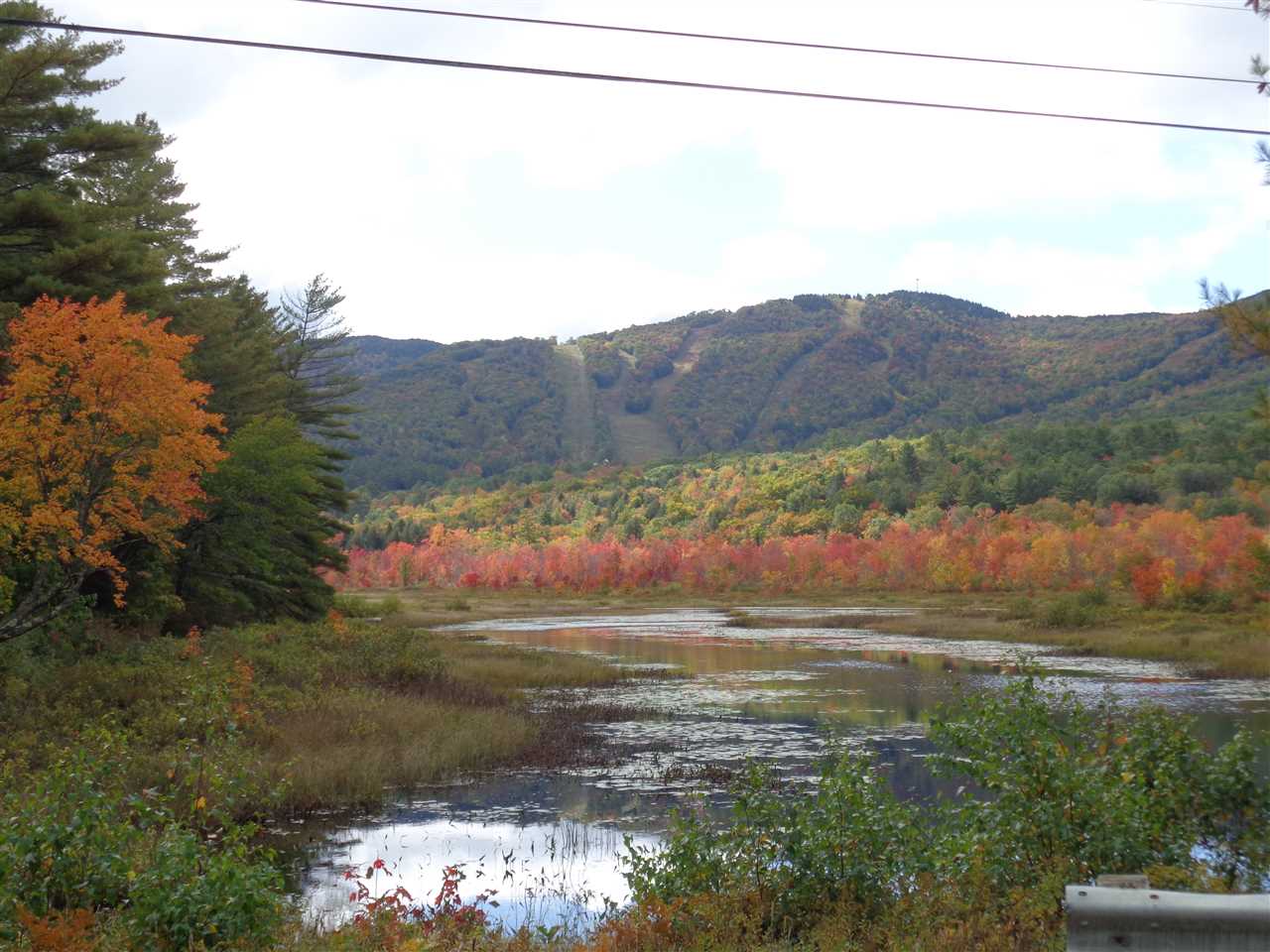 Lot 4 Wiggin Road Danbury, NH 03230 - Photo 8 of 8