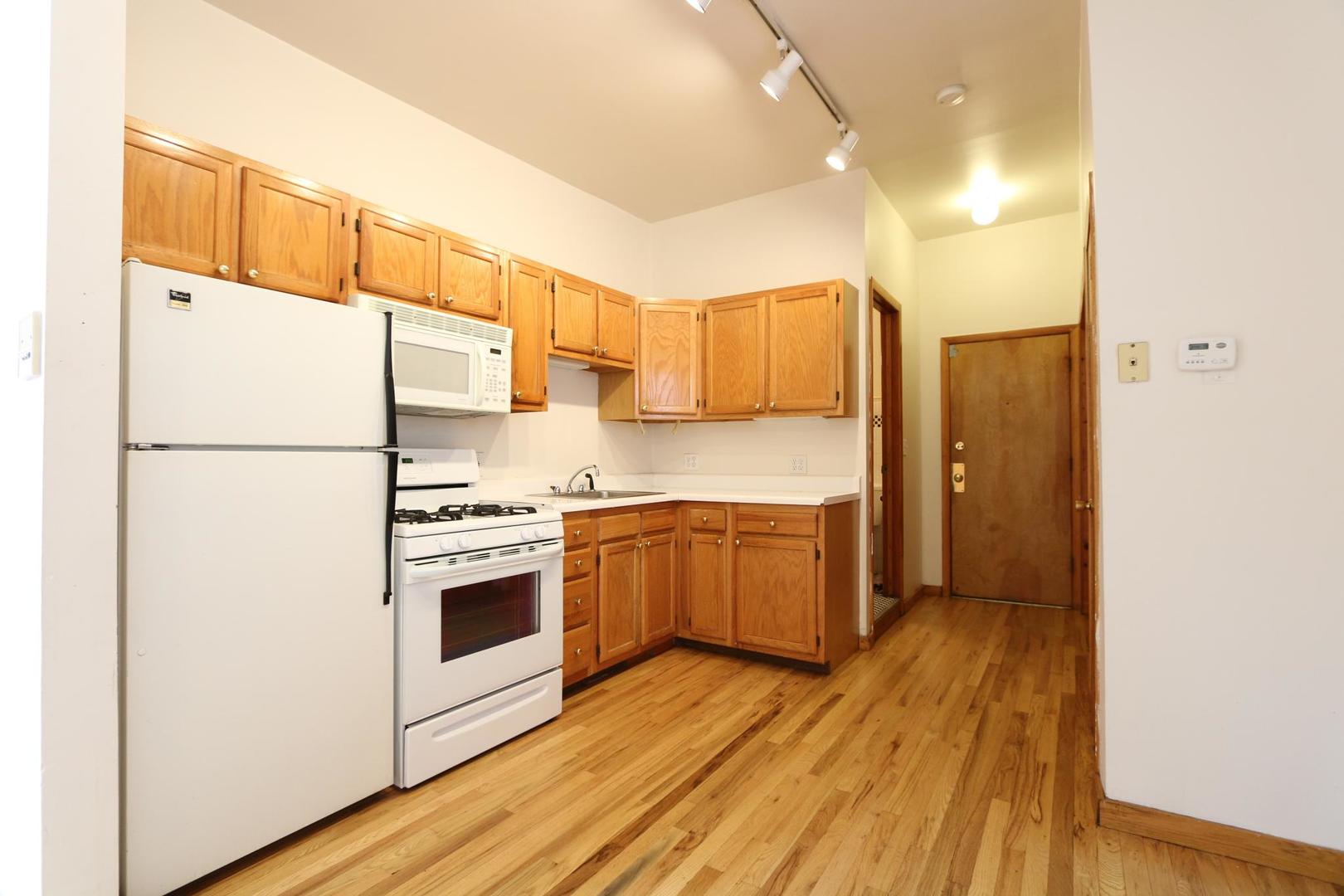 1355 West Taylor Street, Unit 2R Chicago, IL 60607 - Photo 7 of 17