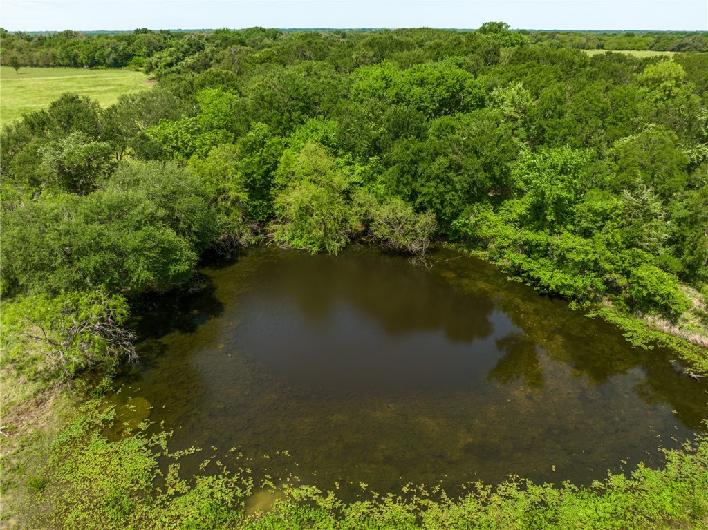 245 Rd Kosse Tx 76653 Road Kosse, TX 76653 - Photo 20 of 26 a view of a lake with a yard