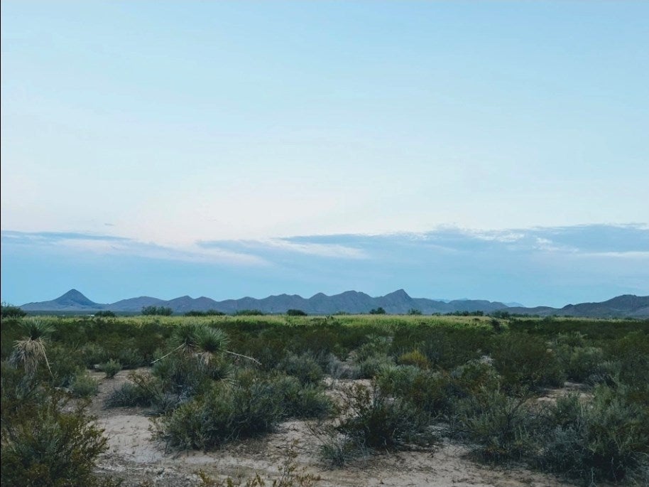 501 Crows Peak Road Alpine, TX 79830 - Photo 12 of 64 Gallery Image 12