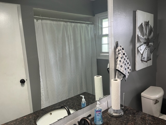 19306 East Creston Road Rochelle, IL 61068 - Photo 16 of 40 a bathroom with a toilet a sink and a mirror
