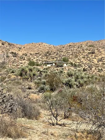 a view of a yard