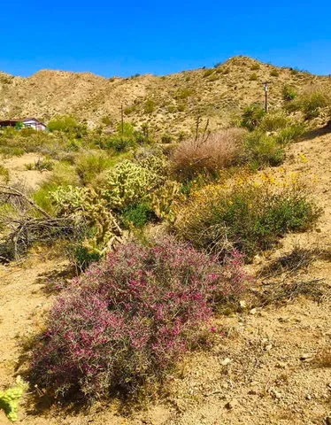 a view of mountain view with wooden floor