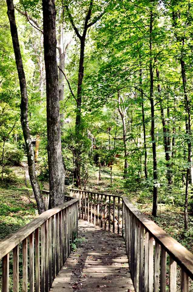550 Old Mill Road Campobello, SC 29322 - Photo 19 of 27