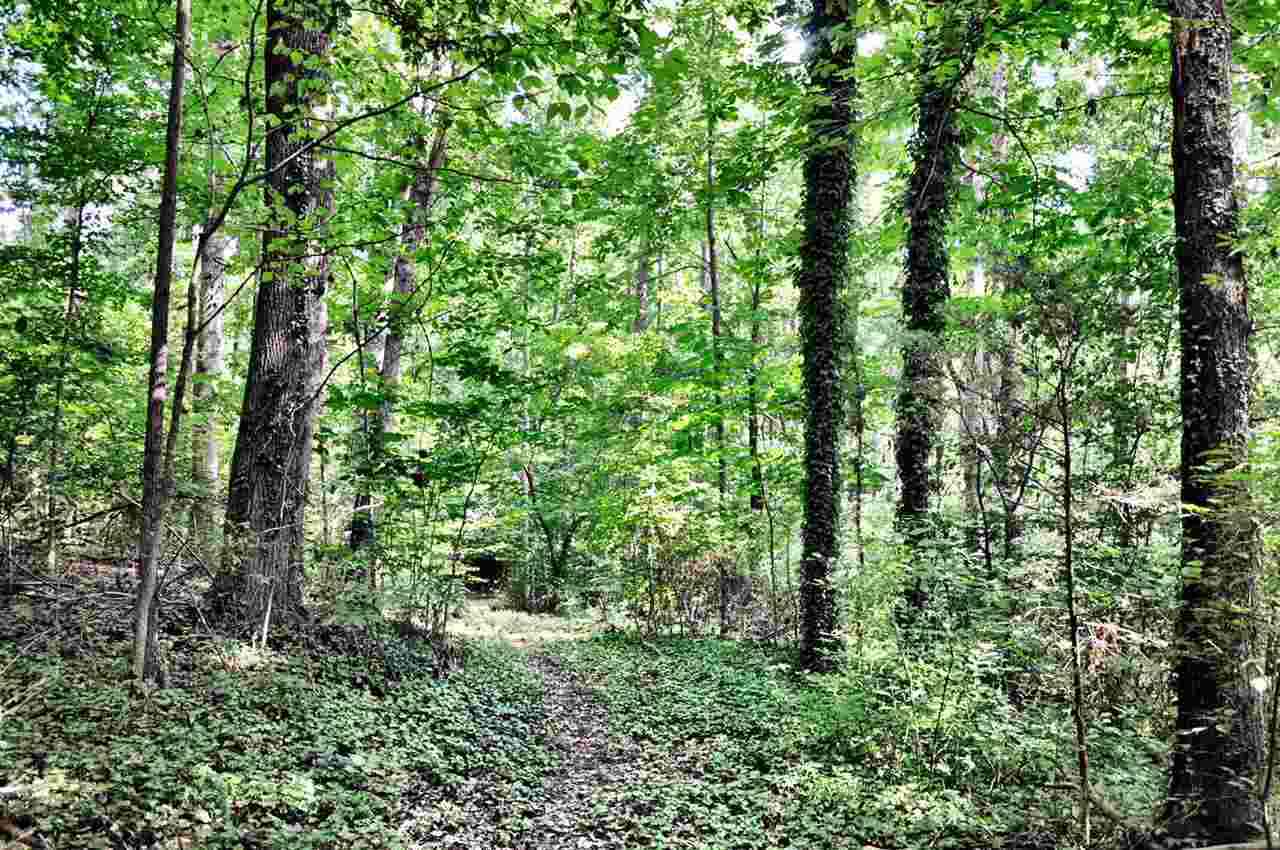 550 Old Mill Road Campobello, SC 29322 - Photo 20 of 27