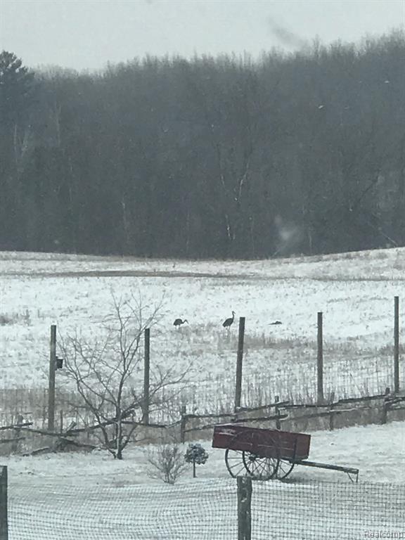 3901 English Road Kingston, MI 48741 - Photo 18 of 38