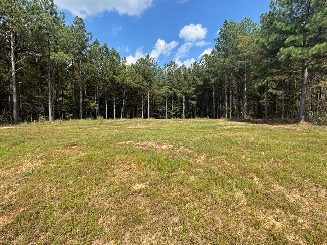 0 Boone Pass Jasper, TN 37347 - Photo 1 of 9 Gallery Image 1