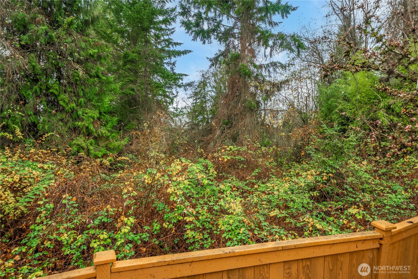 19504 Southeast 24th, Unit B Bothell, WA 98012 - Photo 32 of 34 a view of a garden from a window