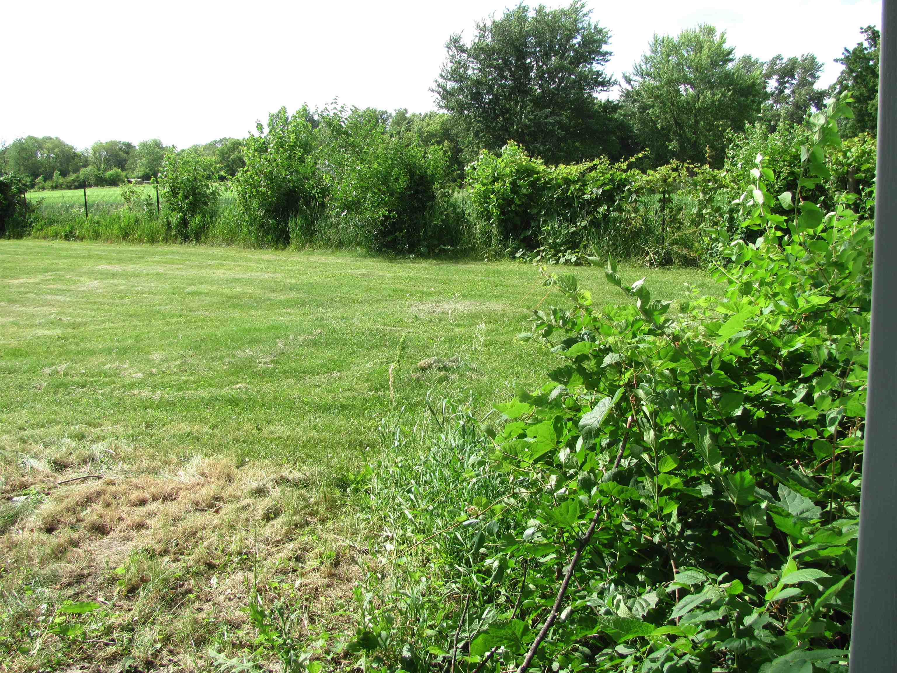 6159 Prairie Road Rockford, IL 61102 - Photo 17 of 47 a view of a grassy field with trees in the background