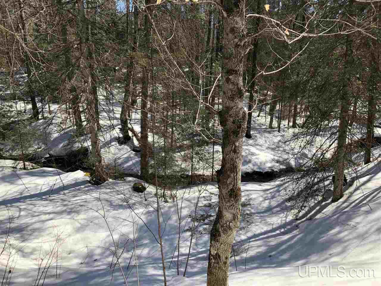 79.99-ac Off West Harding Road Bessemer, MI 49911 - Photo 3 of 33