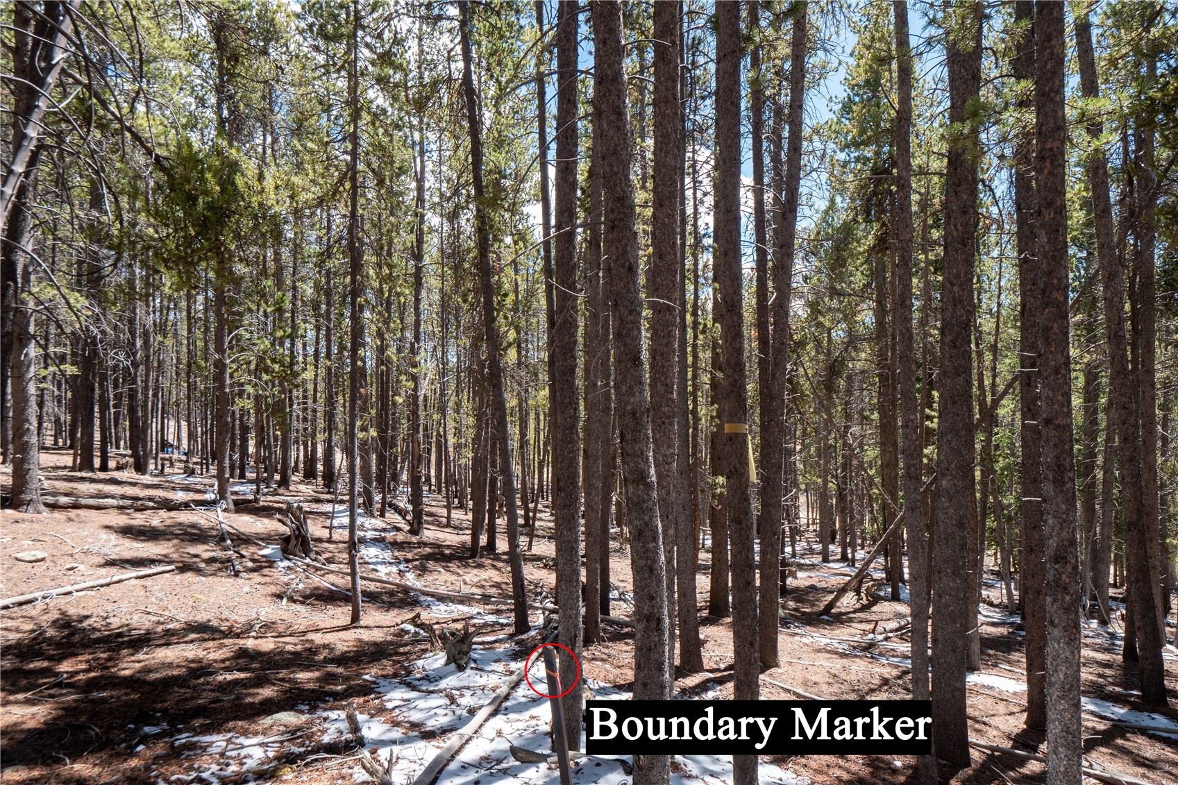 3149 Nugget Road Fairplay, CO 80440 - Photo 14 of 40 Back Left Property Stake (North-West Corner)