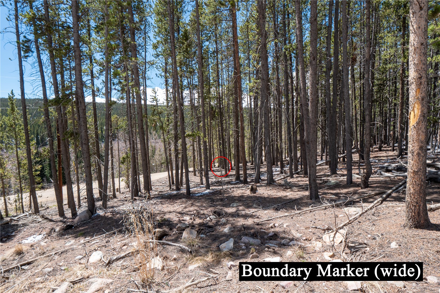 3149 Nugget Road Fairplay, CO 80440 - Photo 15 of 40 West Edge of the Lot