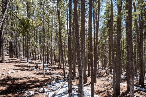 $124,000 | 3149 Nugget Road, Fairplay, CO 80440