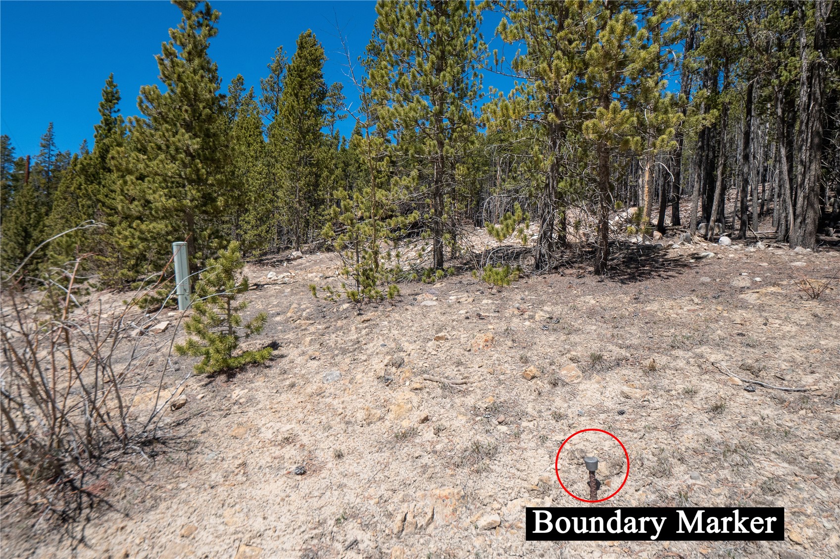 3149 Nugget Road Fairplay, CO 80440 - Photo 17 of 40 Front Right Property Stake (South-East Corner)