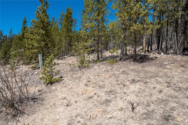 $124,000 | 3149 Nugget Road, Fairplay, CO 80440