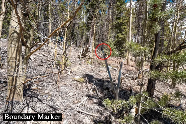 $124,000 | 3149 Nugget Road, Fairplay, CO 80440