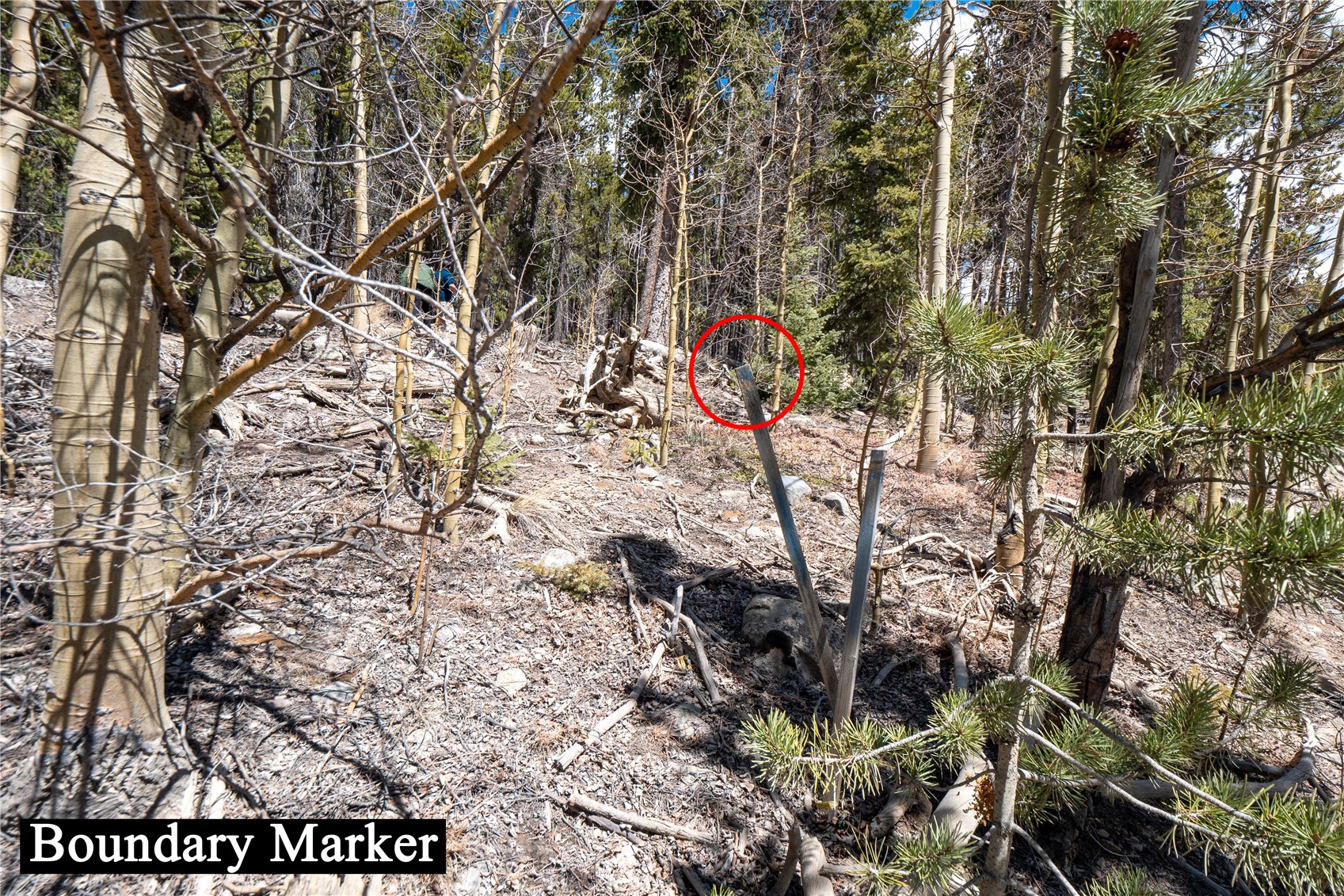 3149 Nugget Road Fairplay, CO 80440 - Photo 19 of 40 Front Left Property Stake (South-West Corner)