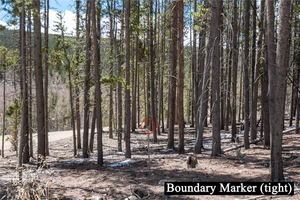 $124,000 | 3149 Nugget Road, Fairplay, CO 80440