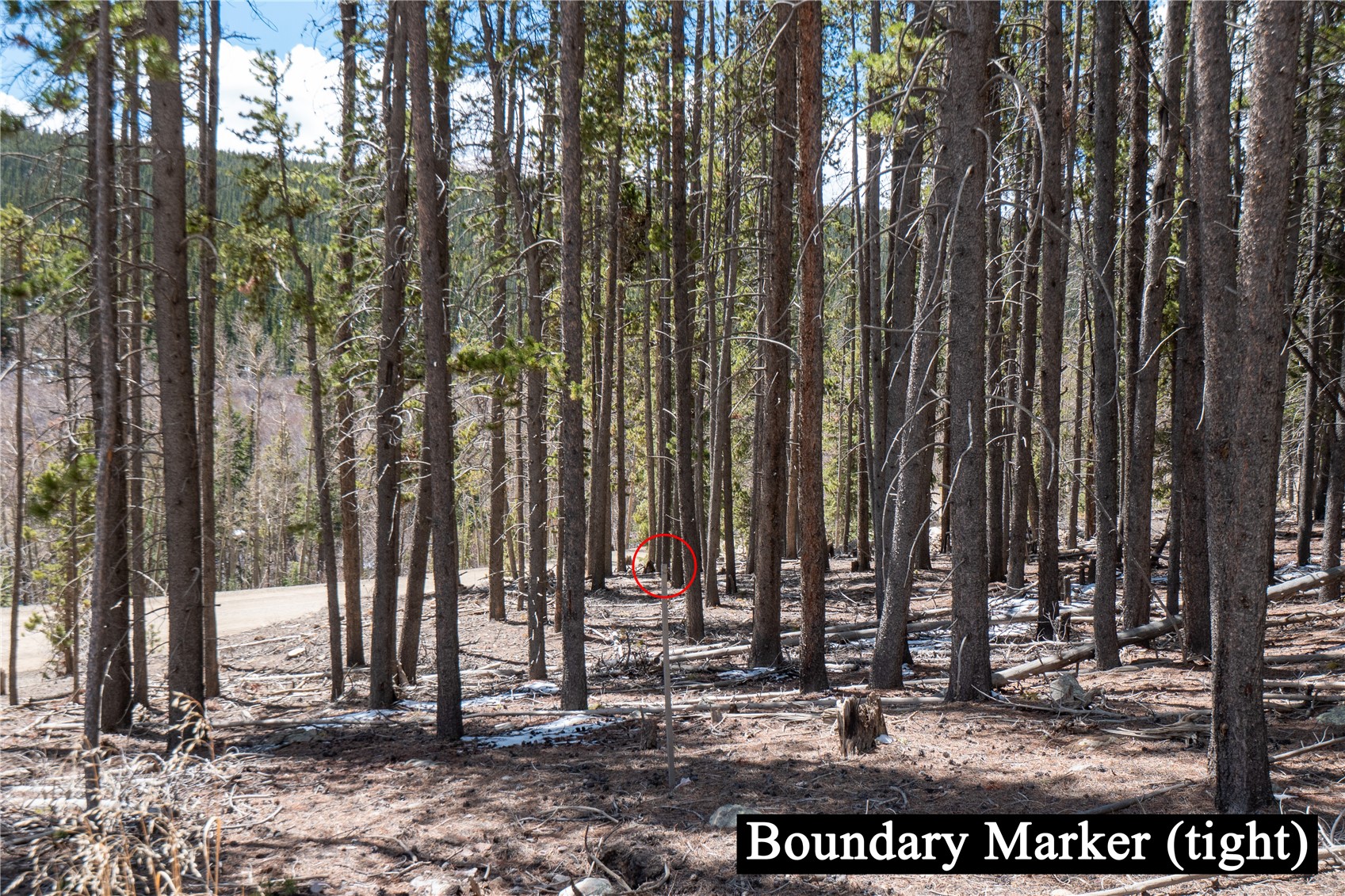 3149 Nugget Road Fairplay, CO 80440 - Photo 20 of 40 West Lot Line Stake