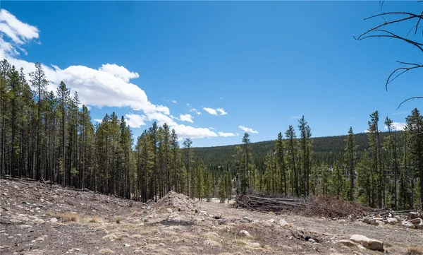 $124,000 | 3149 Nugget Road, Fairplay, CO 80440