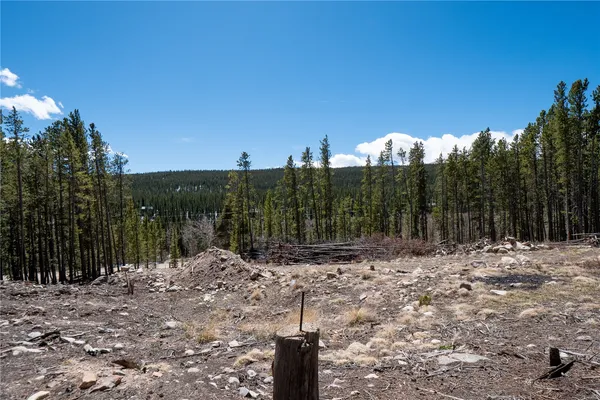 $124,000 | 3149 Nugget Road, Fairplay, CO 80440