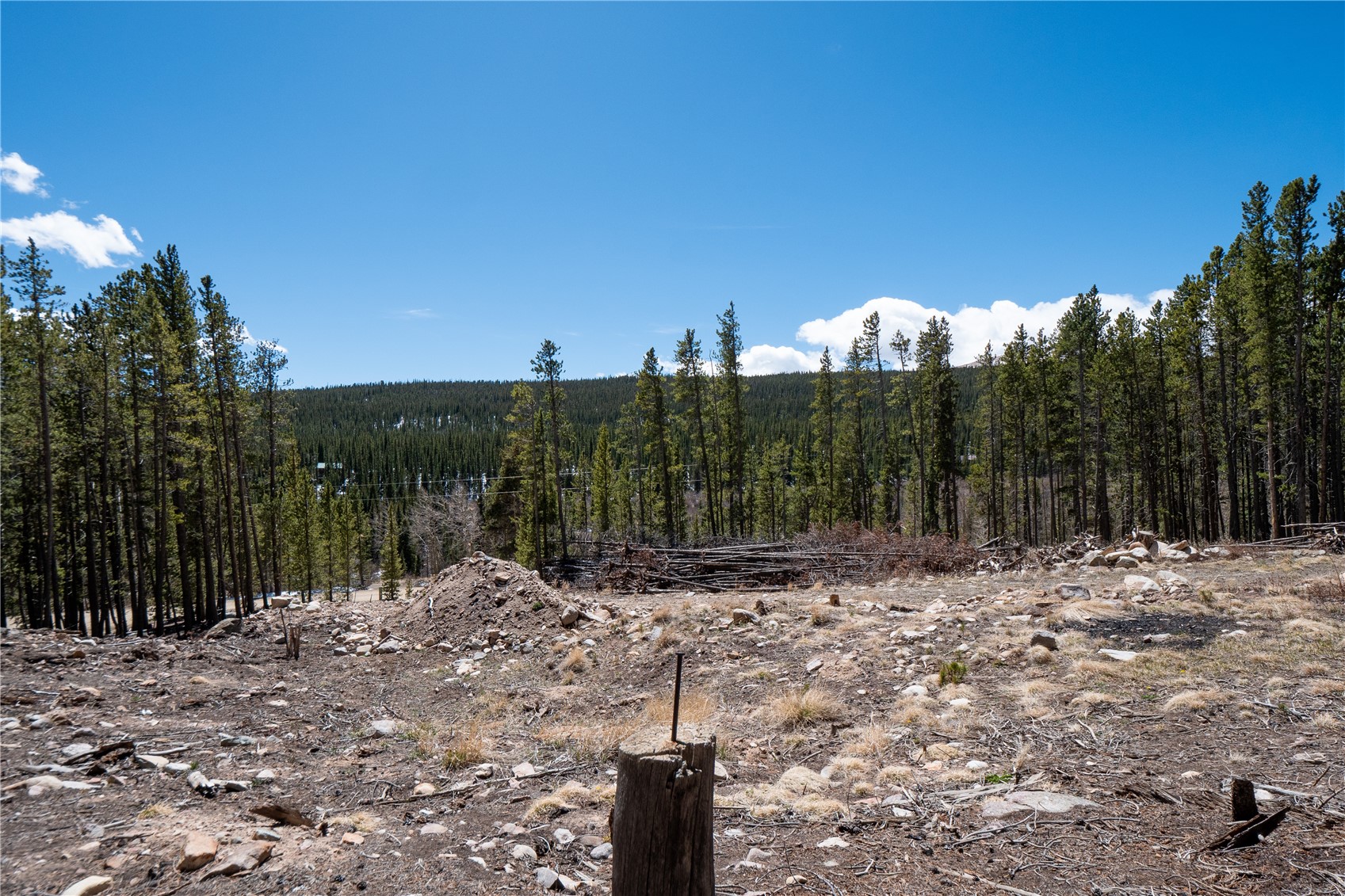 3149 Nugget Road Fairplay, CO 80440 - Photo 22 of 40 Rear Lot Line Marker