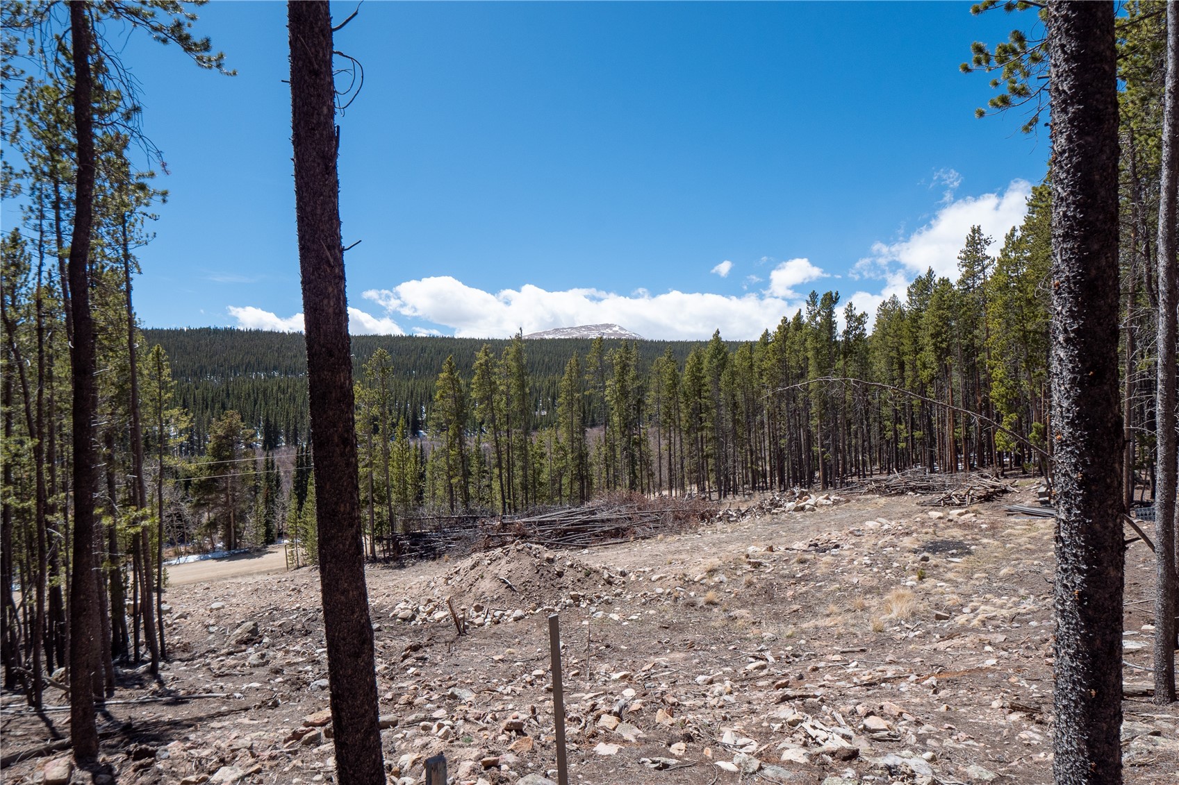 3149 Nugget Road Fairplay, CO 80440 - Photo 23 of 40 Back Right Property Stake (North-East Corner)