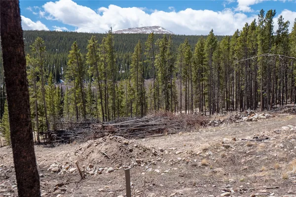 $124,000 | 3149 Nugget Road, Fairplay, CO 80440