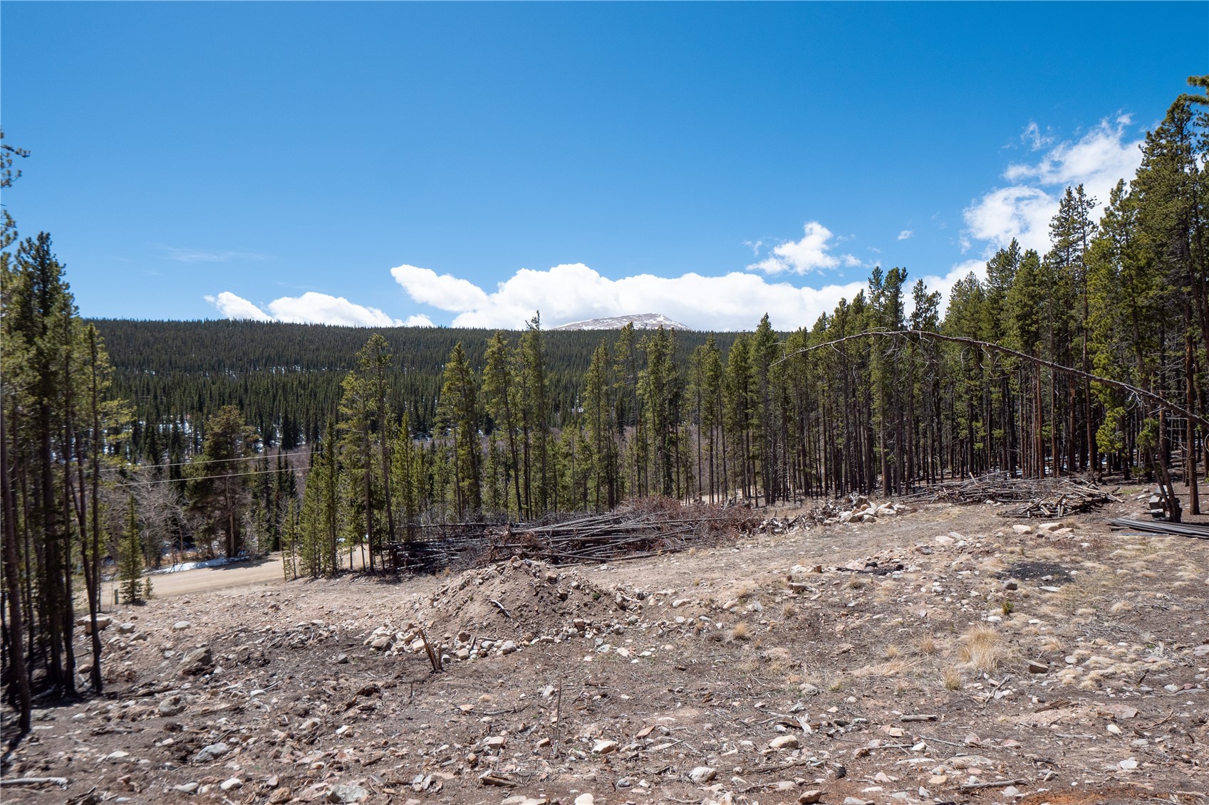 3149 Nugget Road Fairplay, CO 80440 - Photo 25 of 40 Overlooking the Cleared Section of the Lot