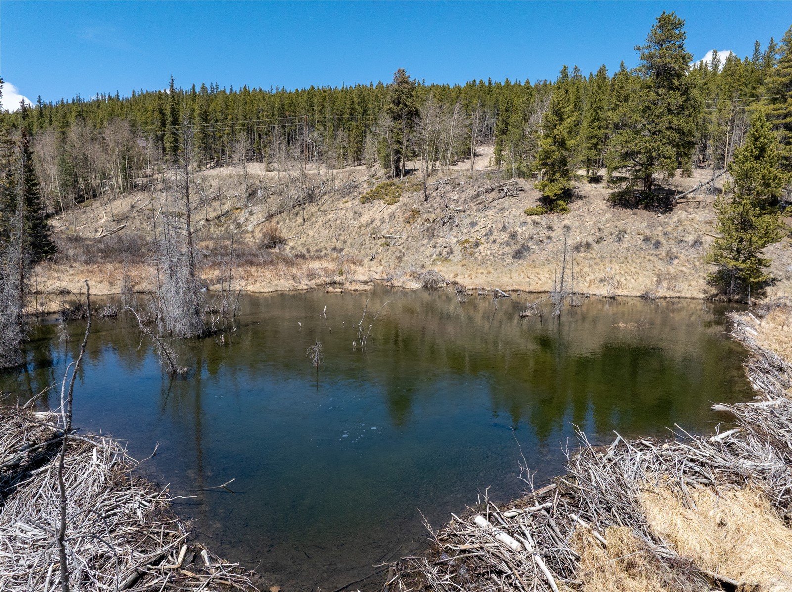 3149 Nugget Road Fairplay, CO 80440 - Photo 9 of 40 Beaver Pond and Dam Located Directly Across from Lot